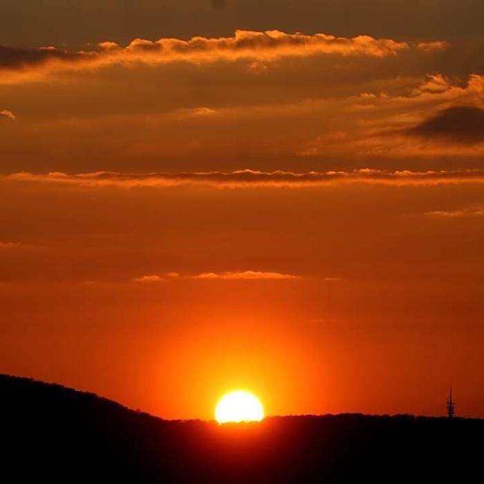 Bilder Speak Free Claudia Stichnothe Freie Rednerin für Hochzeit- Taufe- Trauer