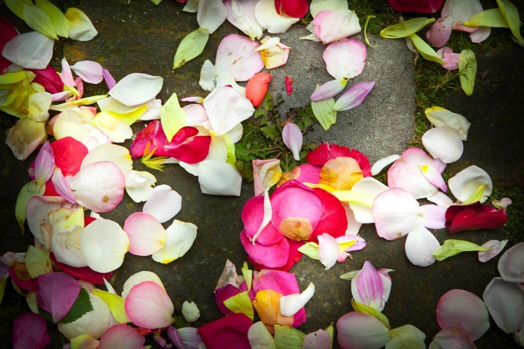 Bilder Speak Free Claudia Stichnothe Freie Rednerin für Hochzeit- Taufe- Trauer