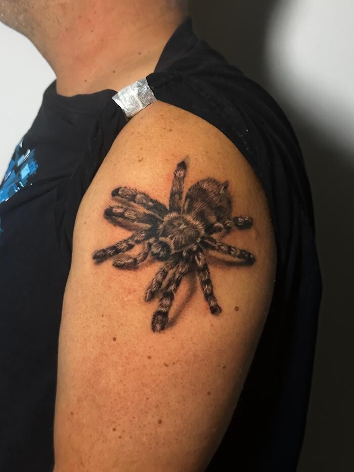 Bilder Beltza Tattoos