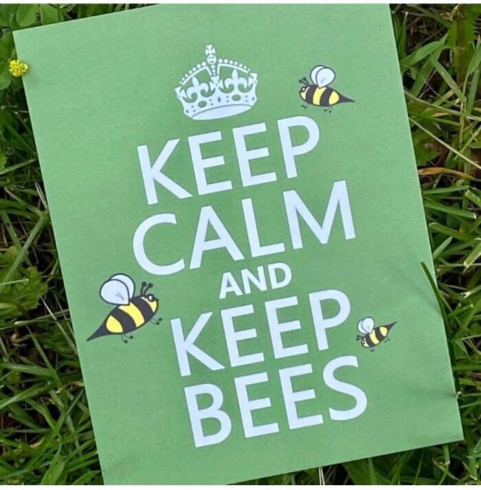 Bilder Bee My Only - Hamburger Honig - Regionaler Honig