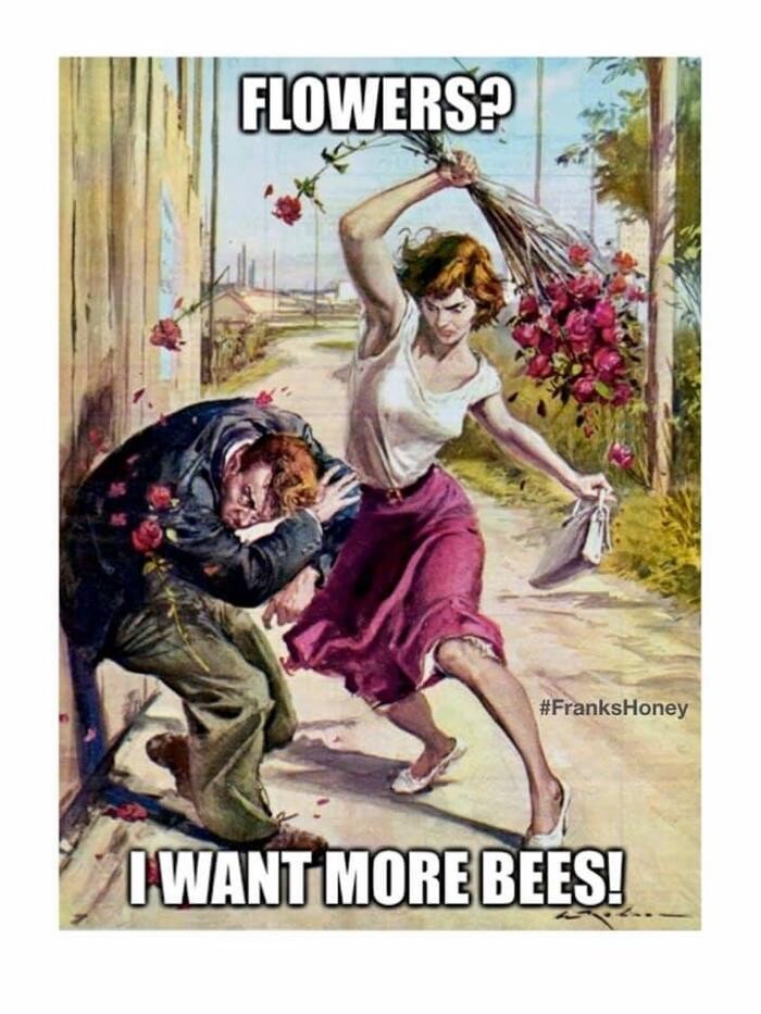 Bilder Bee My Only - Hamburger Honig - Regionaler Honig