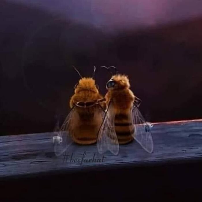 Bilder Bee My Only - Hamburger Honig - Regionaler Honig