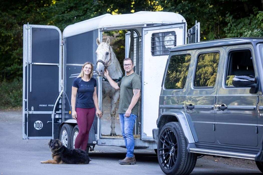 Bilder Ritter' s Pferdetaxi