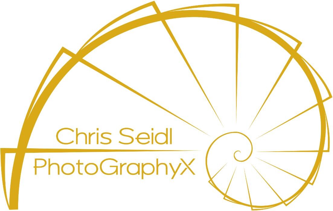 Iris Fotografie Ingolstadt Logo