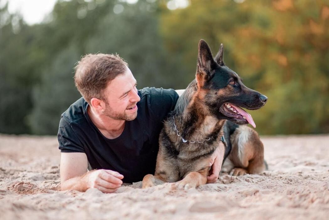 Bilder Hundeschule Südpfalzrudel