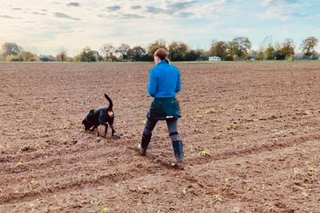 Bilder Hundeschule Südpfalzrudel