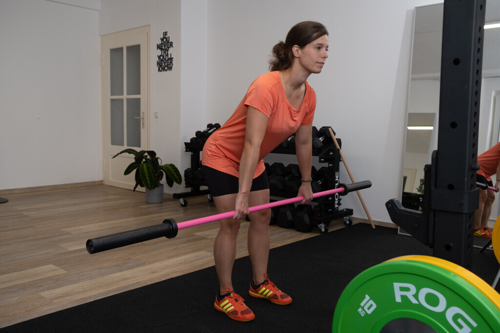 Bilder Aries-Therapie und Training