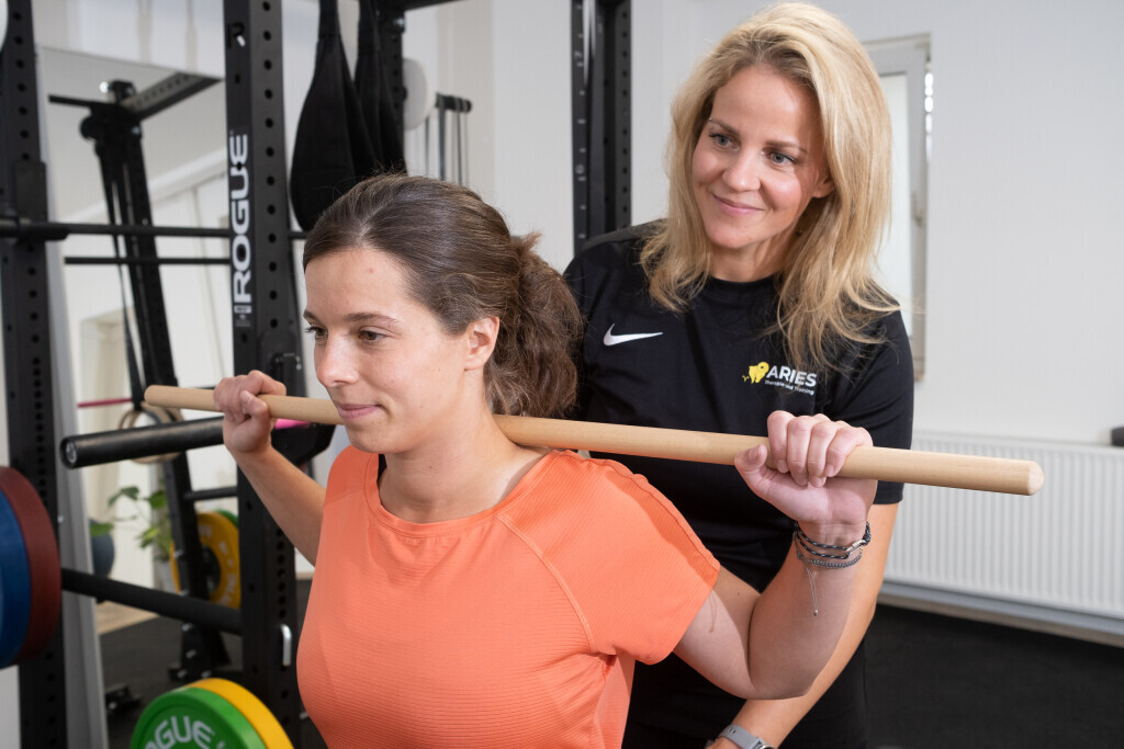 Bilder Aries-Therapie und Training