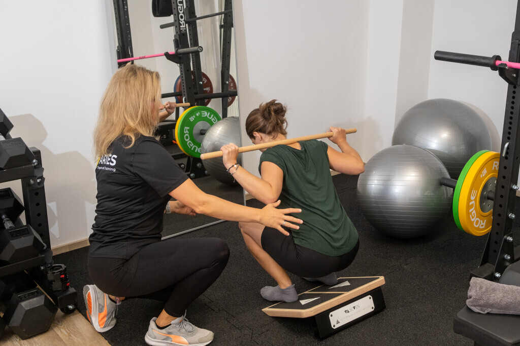 Bilder Aries-Therapie und Training