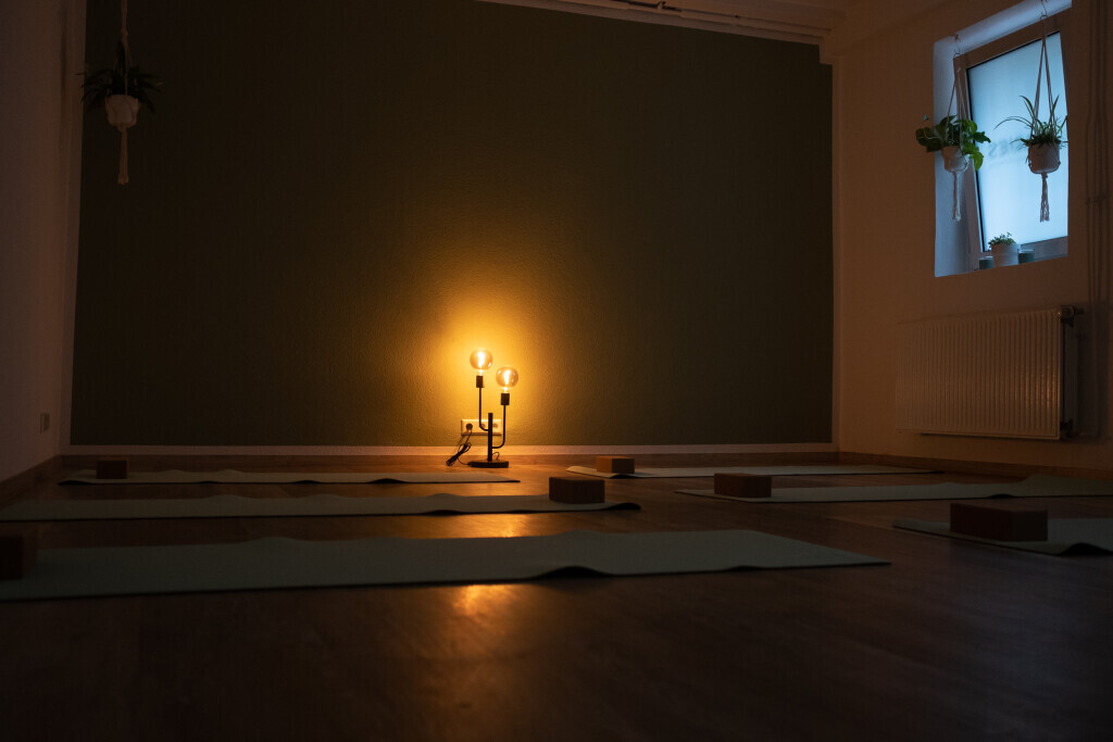 Bilder Aries-Therapie und Training