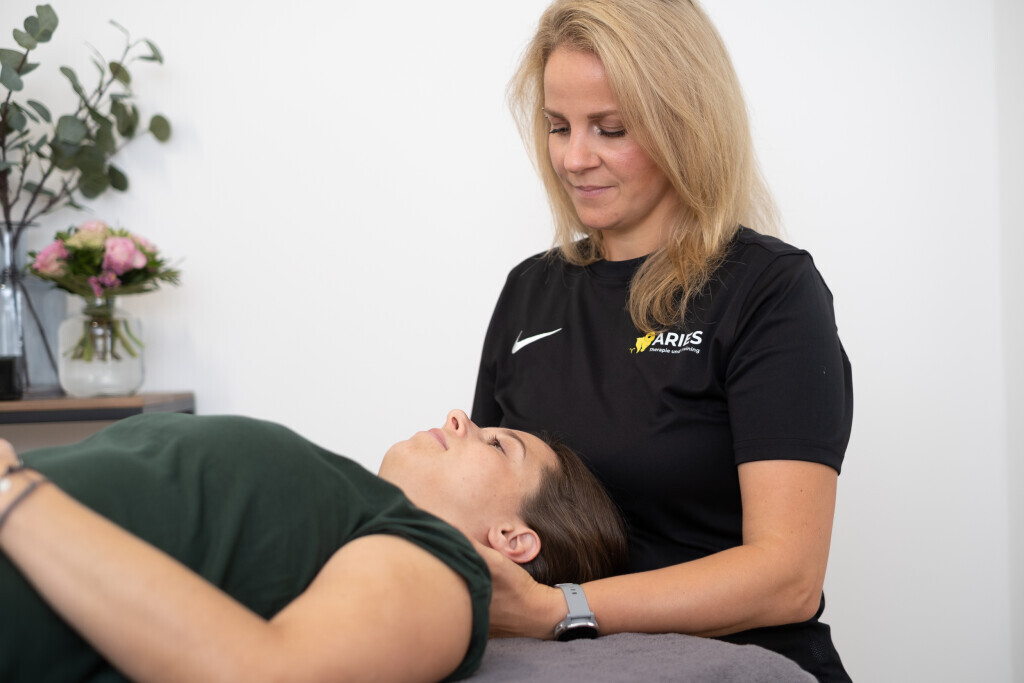 Bilder Aries-Therapie und Training