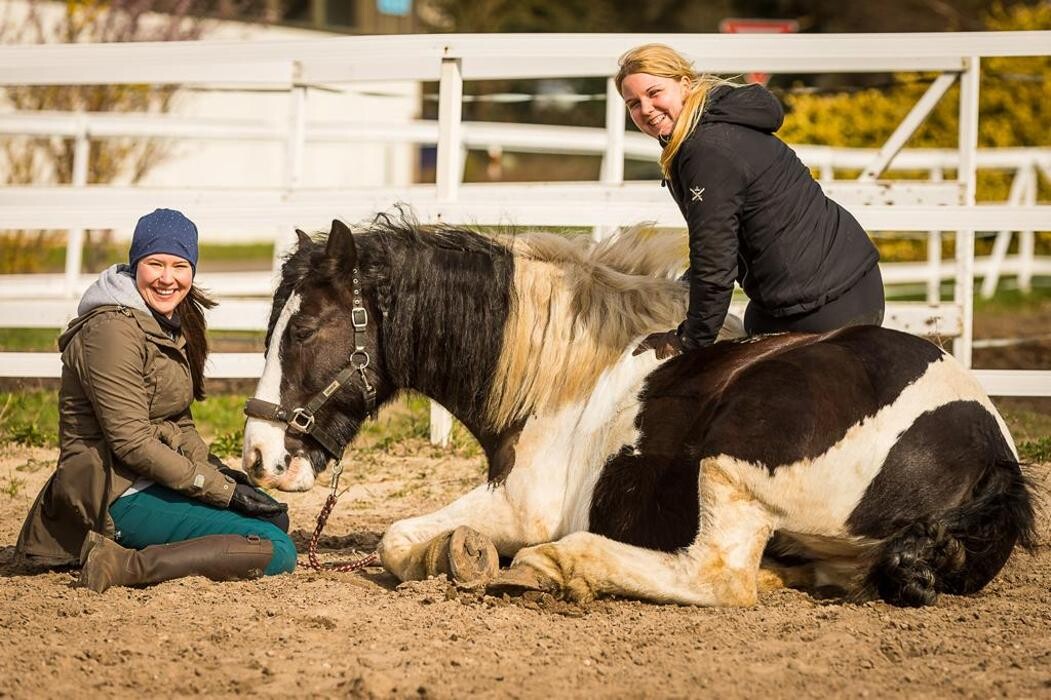 Bilder Franzi & Fiona - Pferdeausbildung