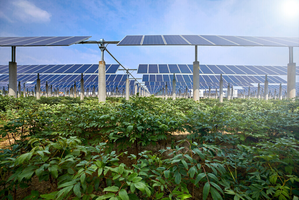 Bilder DVP Solar Germany GmbH