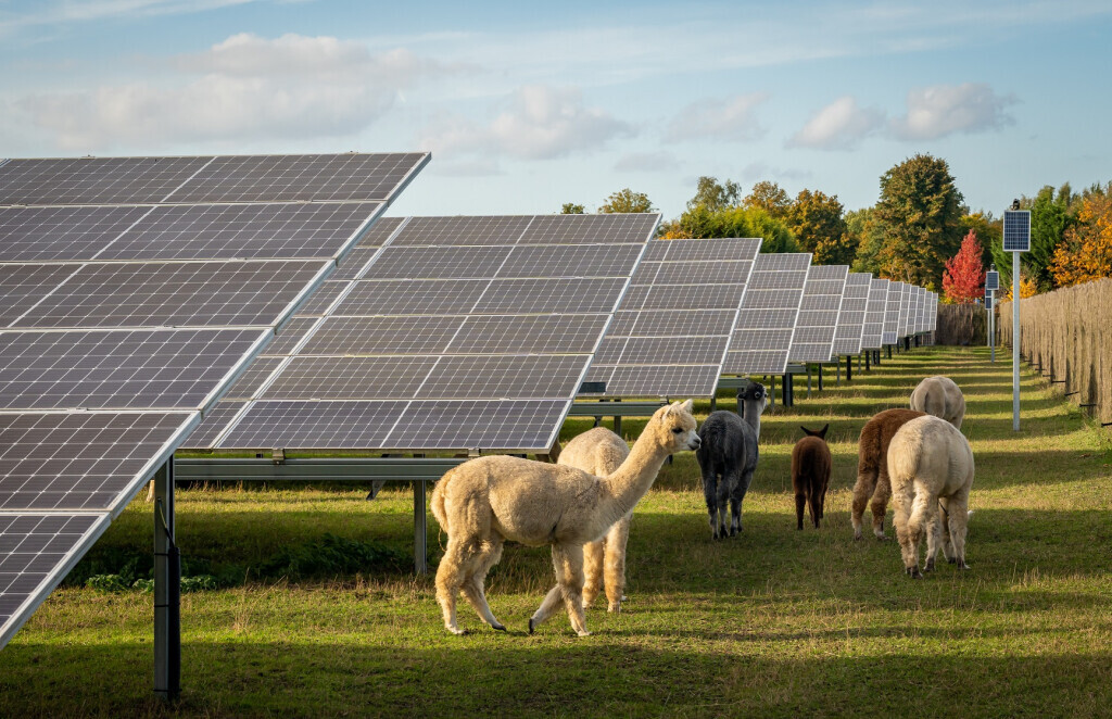 Bilder DVP Solar Germany GmbH