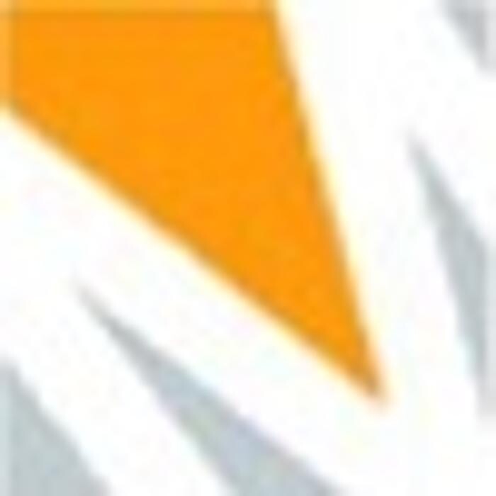 Bilder Mekyska Management Consultants GmbH
