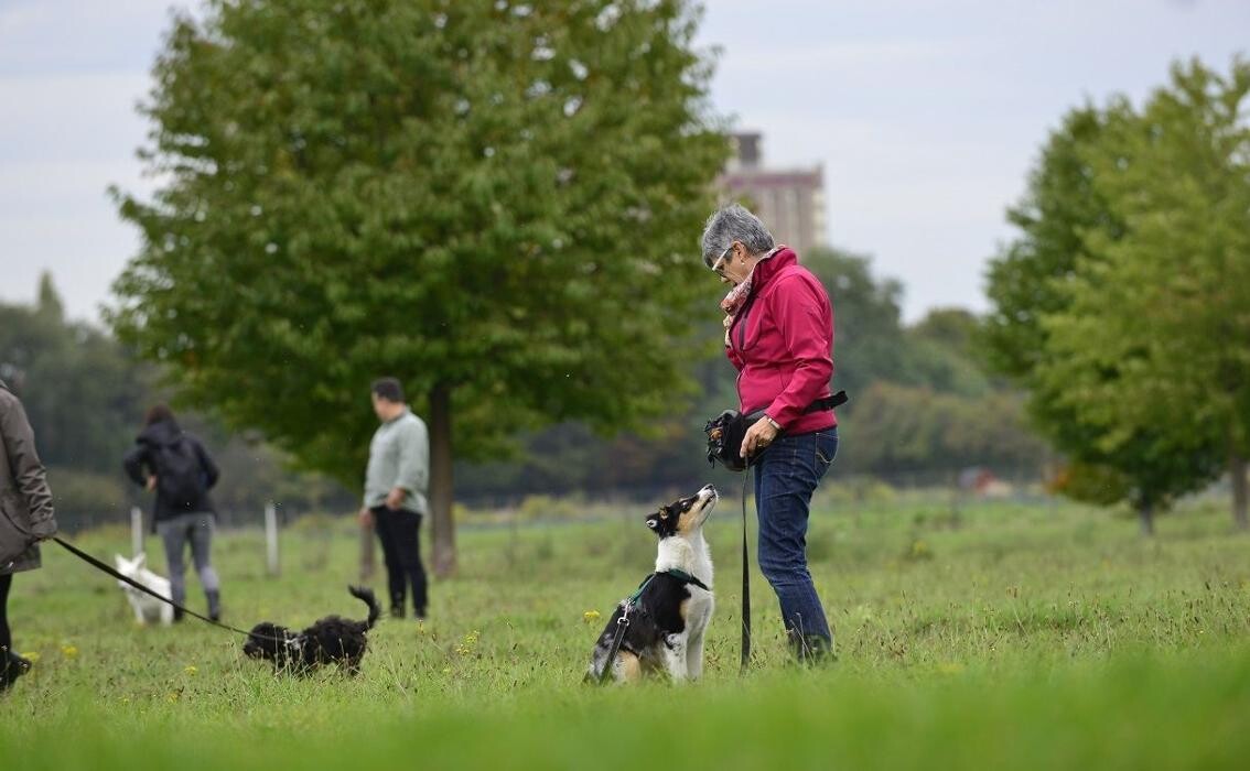 Bilder dorothea gawol