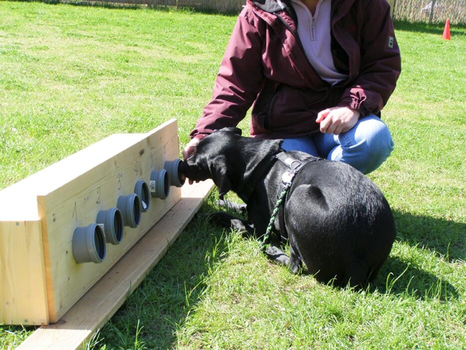 Bilder dorothea gawol