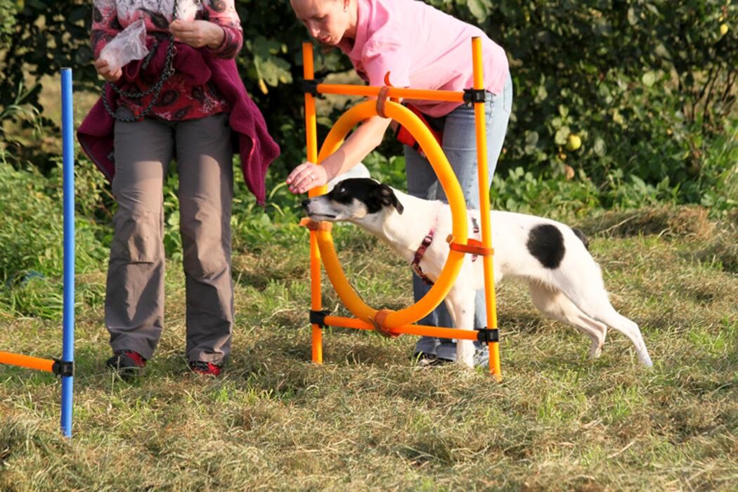 Bilder dorothea gawol