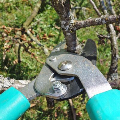 Bilder Haldensleber Gebäude Service Michael Ziegler