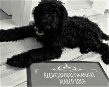 Bilder Rechtsanwalt & Fachanwalt für Verwaltungsrecht Marco Loch