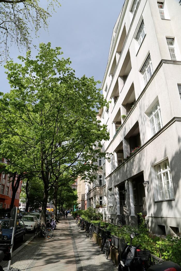Bilder Klemens Wannenmacher- Kreativ Coaching - Natur Coaching Berlin