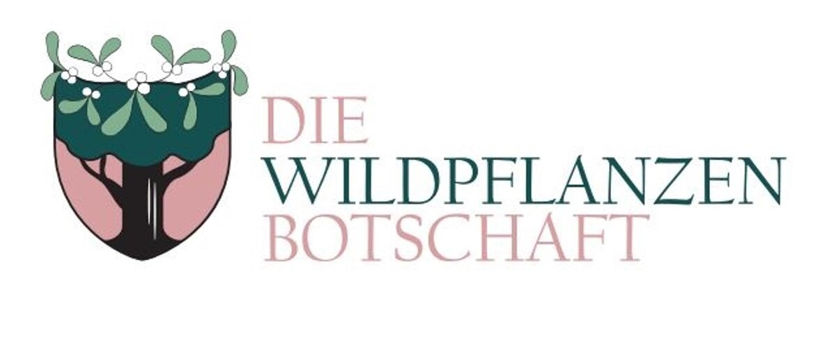 Die Wildpflanzenbotschaft Naturschule Logo
