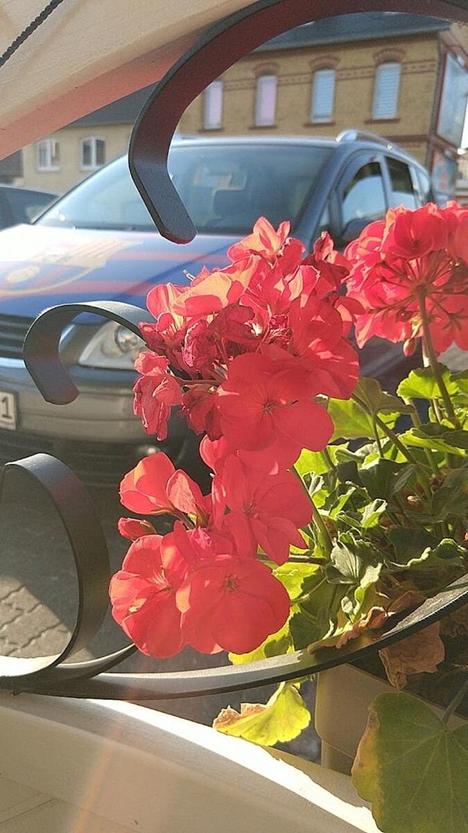 Bilder Restaurant Alt Damaskus