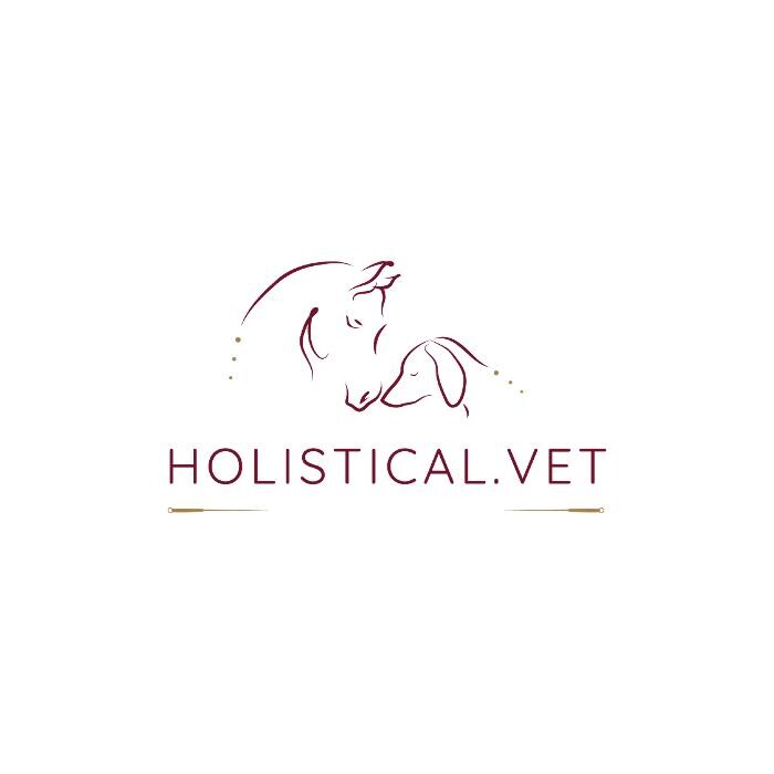Holistical.Vet Logo