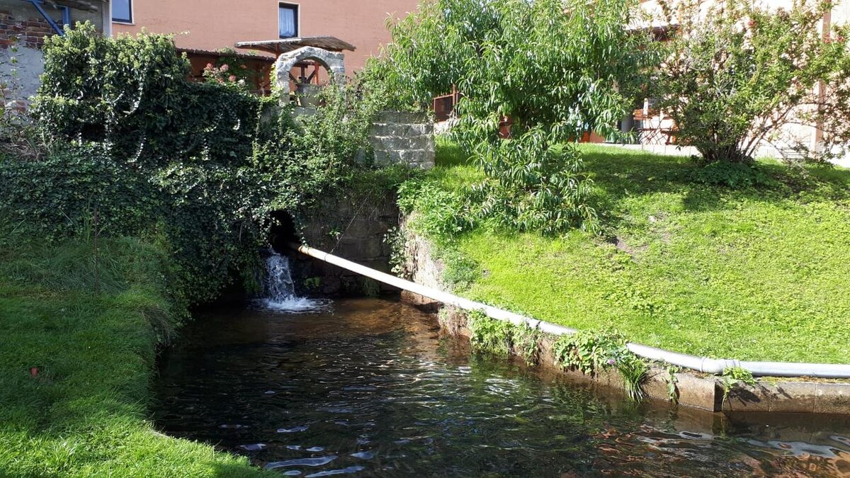 Bilder Fischereihof Kreutziger