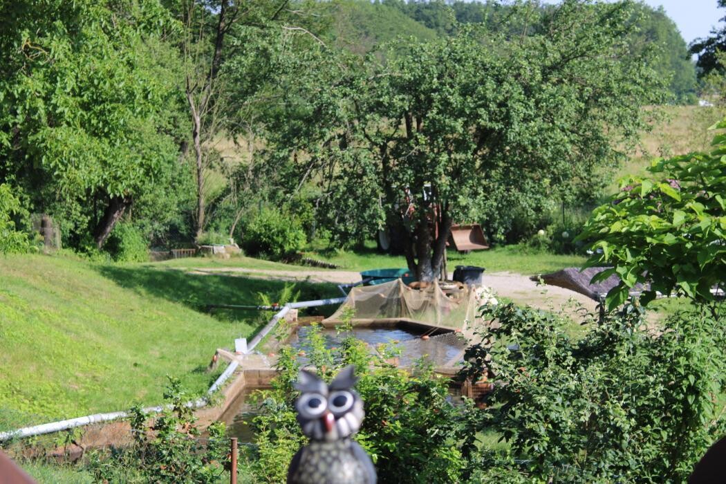 Bilder Fischereihof Kreutziger