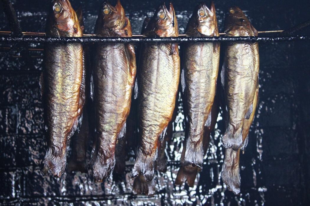 Bilder Fischereihof Kreutziger