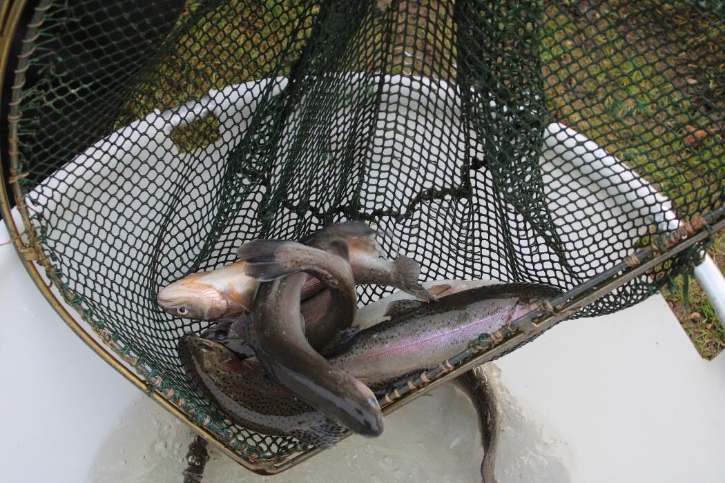Bilder Fischereihof Kreutziger
