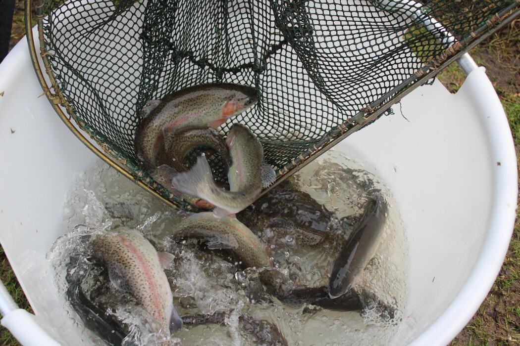 Bilder Fischereihof Kreutziger