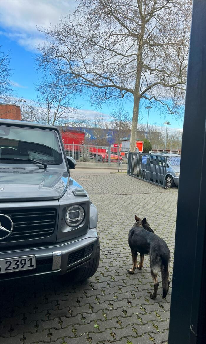 Bilder JT Garage GmbH - Partnerbetrieb von Euromaster
