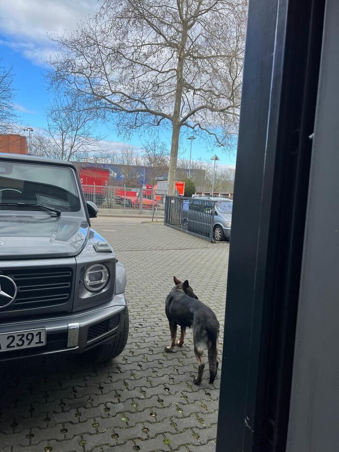 Bilder JT Garage GmbH - Partnerbetrieb von Euromaster