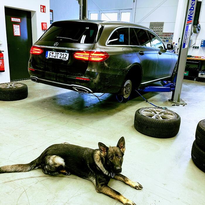 Bilder JT Garage GmbH - Partnerbetrieb von Euromaster