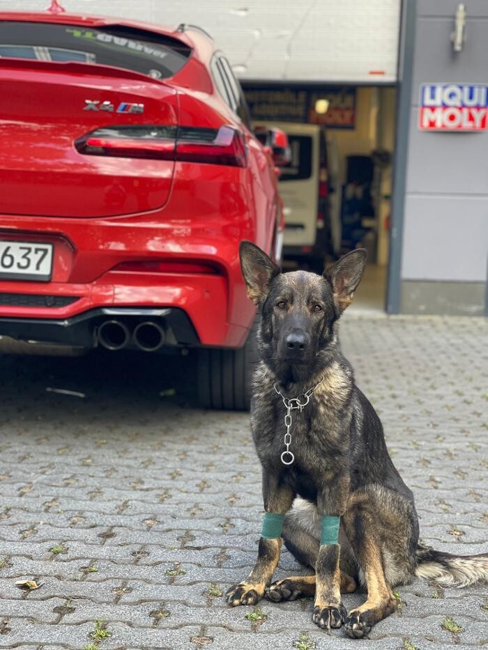 Bilder JT Garage GmbH - Partnerbetrieb von Euromaster