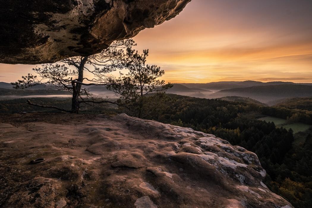 Bilder Sebastian Buser Fotografie