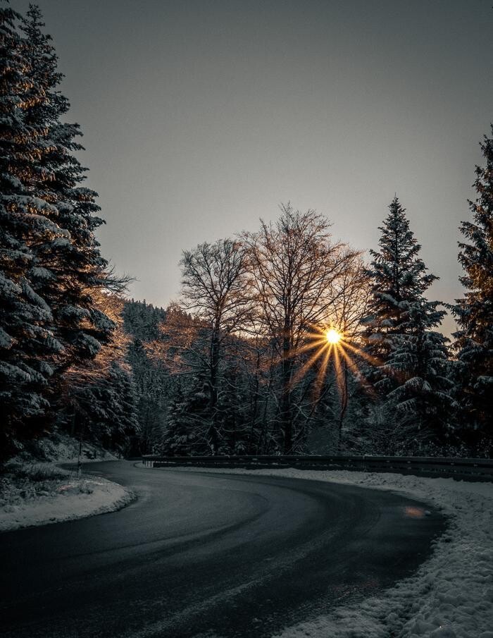 Bilder Sebastian Buser Fotografie