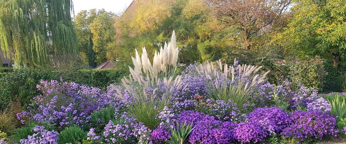 Bilder Schwaiger Gartengestaltung - Garten Landschaftsbau