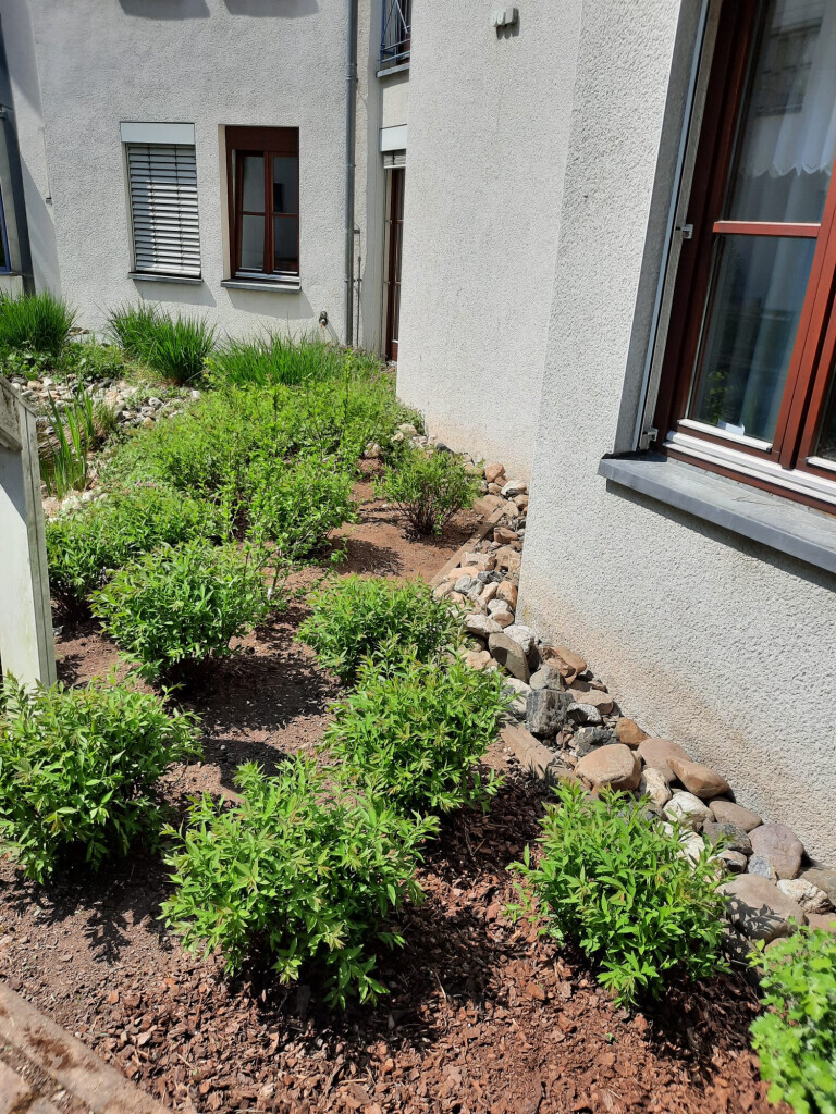 Bilder SKGreen Hausmeisterservice