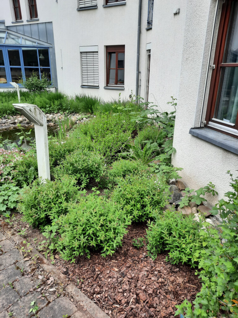 Bilder SKGreen Hausmeisterservice