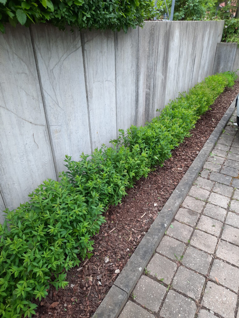 Bilder SKGreen Hausmeisterservice