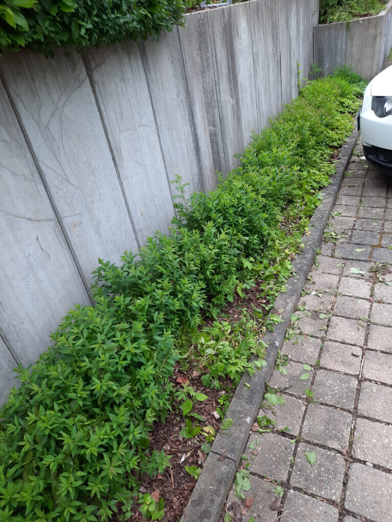 Bilder SKGreen Hausmeisterservice