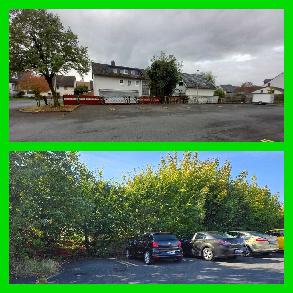 Bilder SKGreen Hausmeisterservice