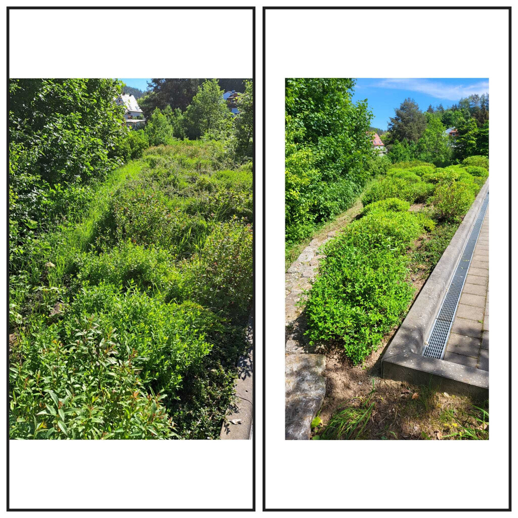 Bilder SKGreen Hausmeisterservice