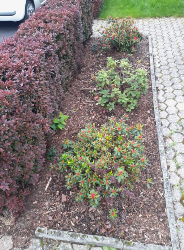 Bilder Gartenarbeiten Burkhardt