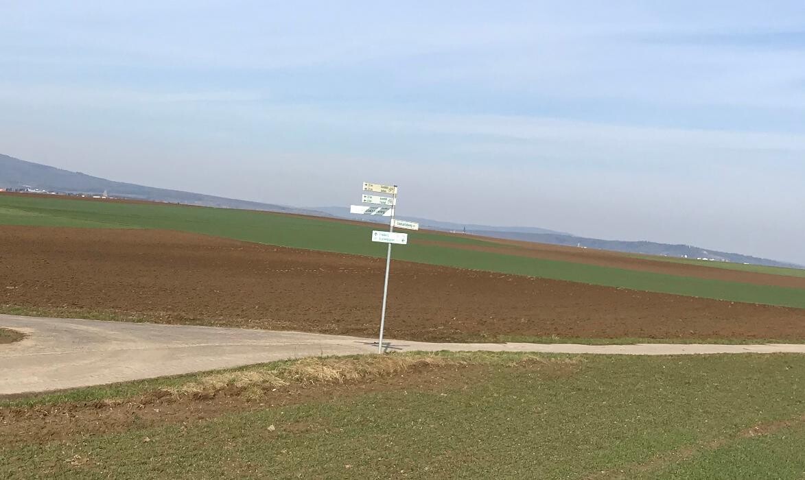 Bilder LernPraxis Niddatal