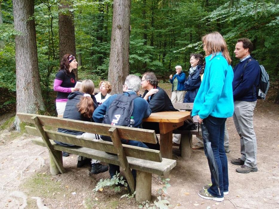 Bilder cult-touren