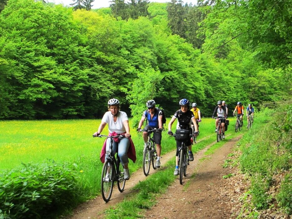 Bilder cult-touren